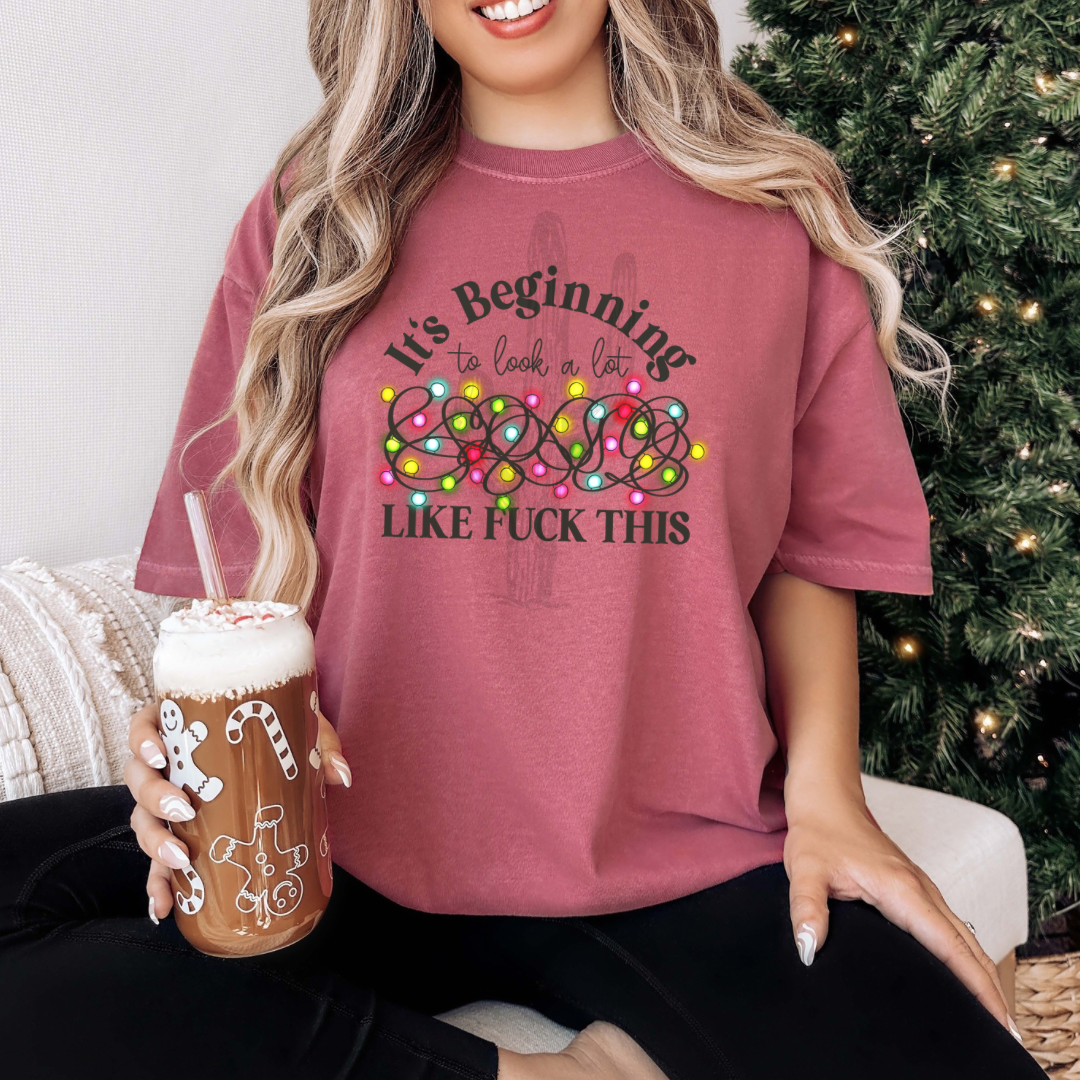 It’s Beginning To Look A Lot Like F This **DTF Transfer**