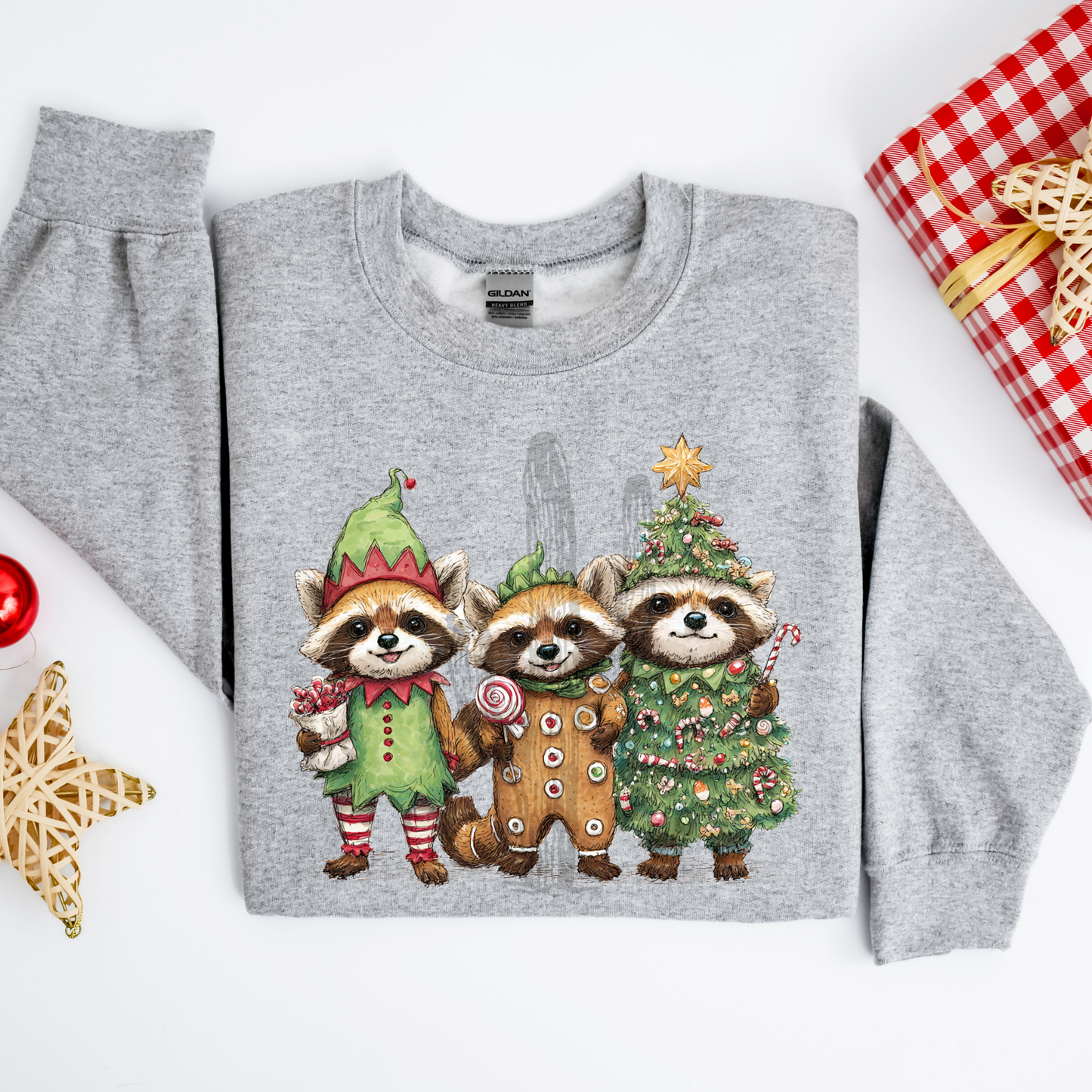 Festive Raccoons **DTF Transfer**