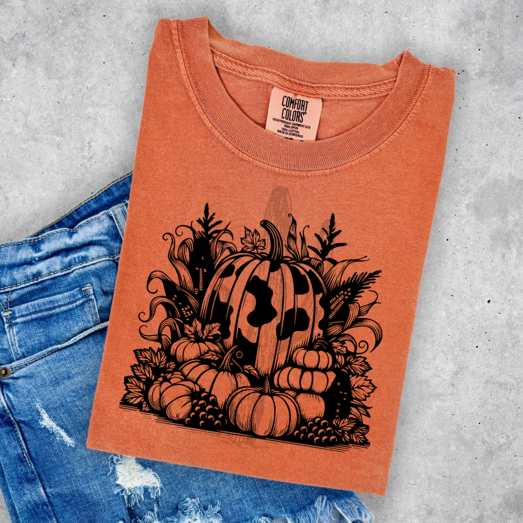 Western Pumpkin Stack 2 **DTF Transfer**