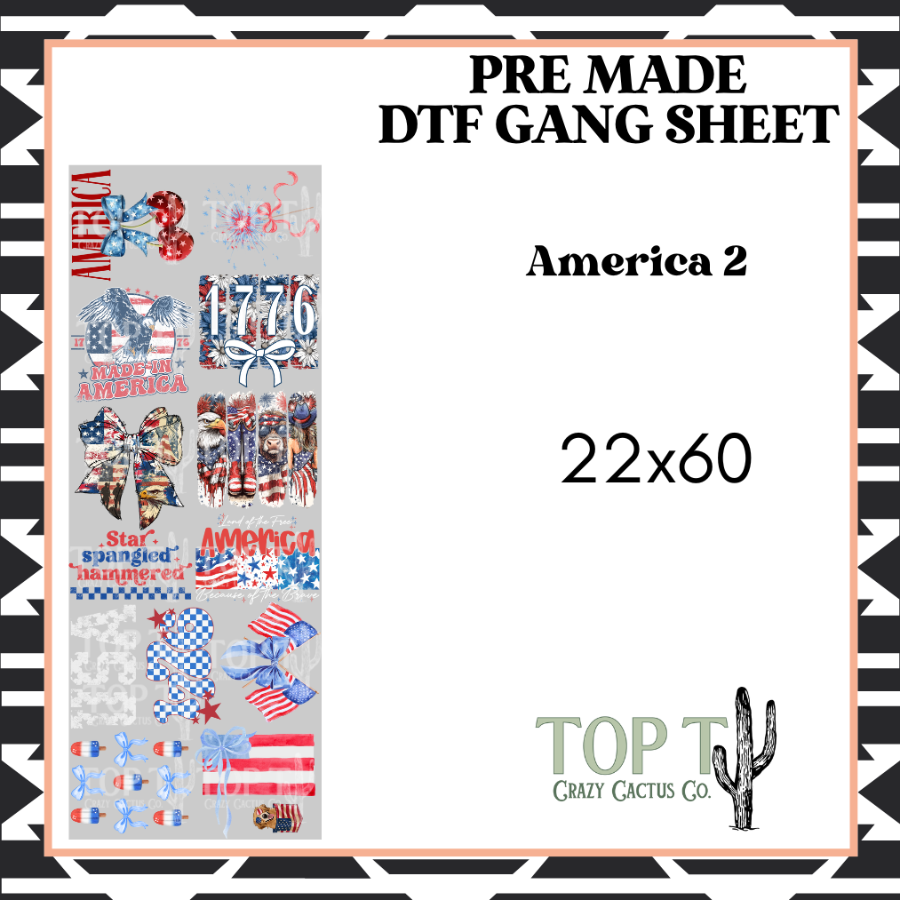 America 2 **Pre Made DTF Gang Sheet**