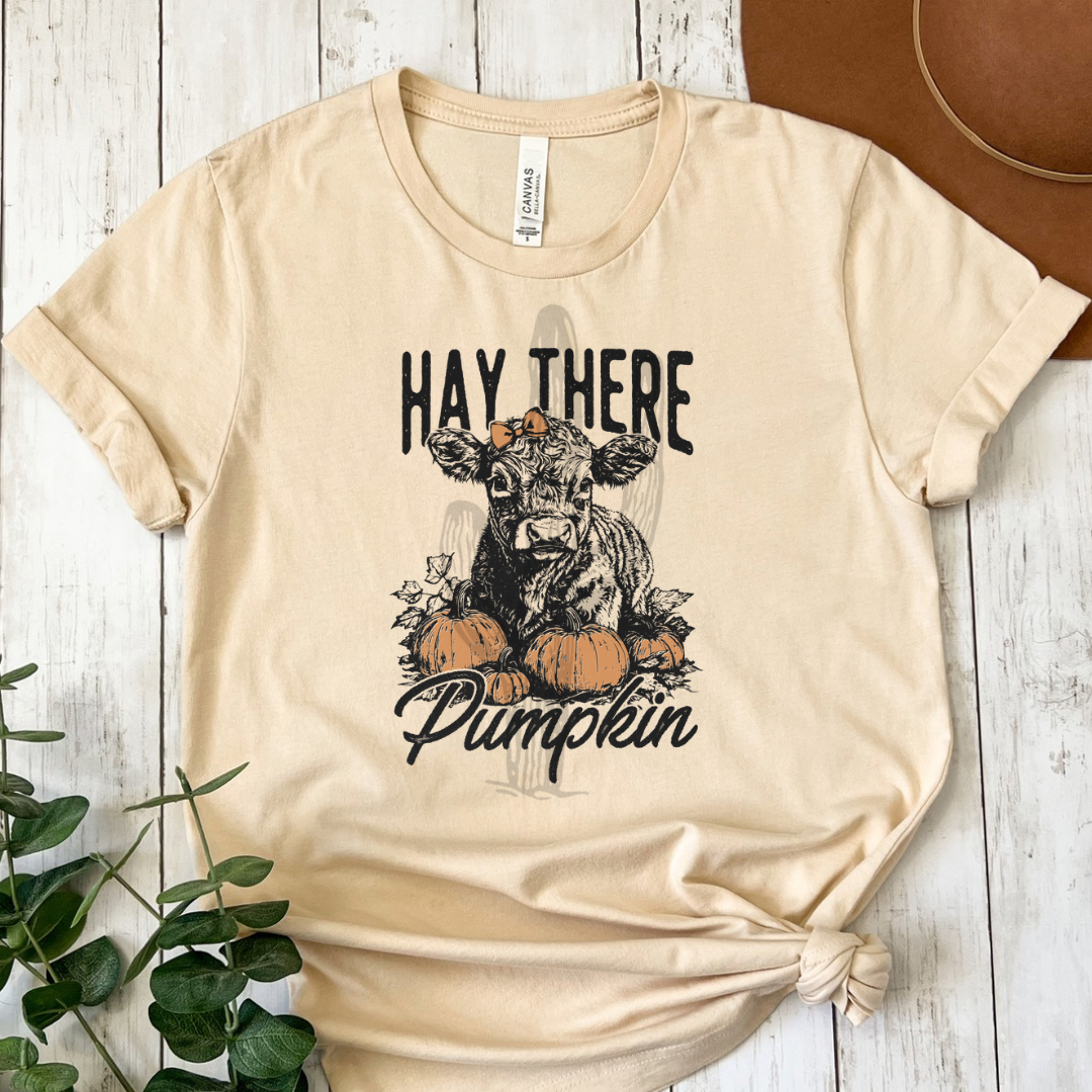 Hay There Pumpkin **DTF Transfer**
