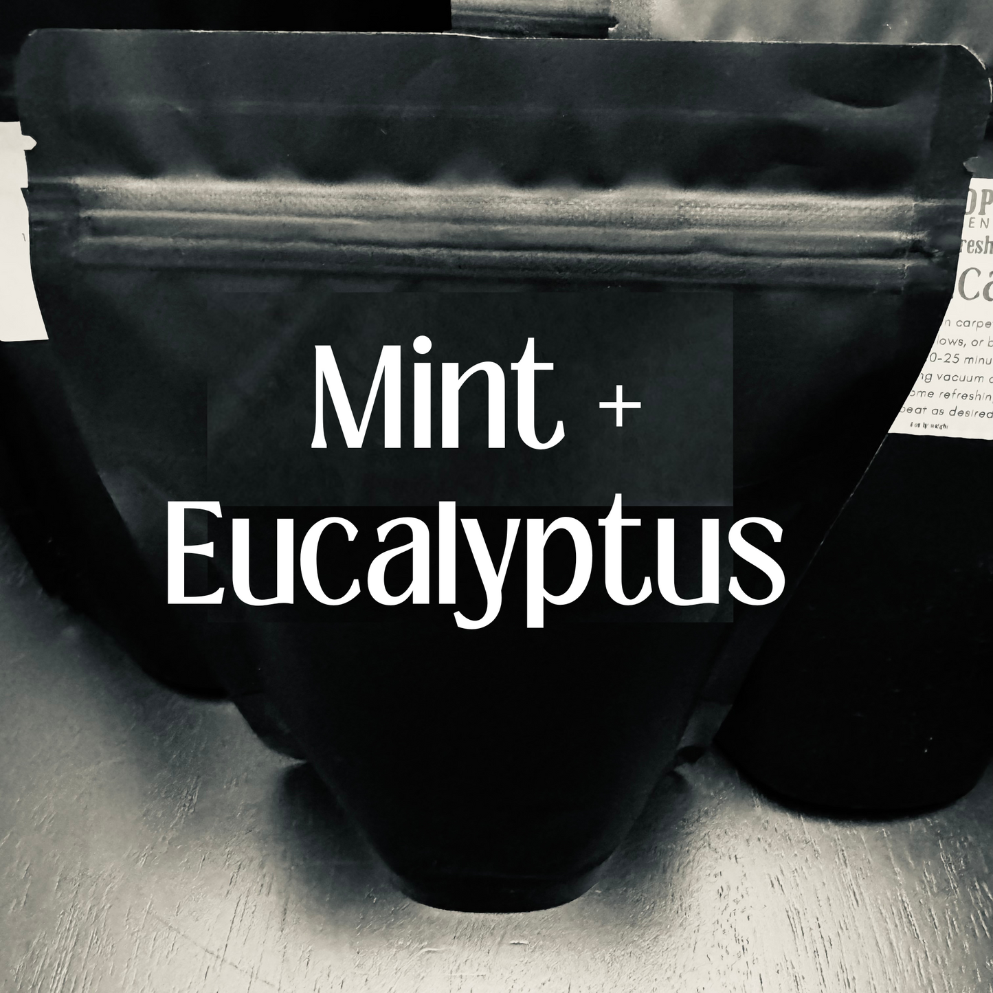 MINT + EUCALYPTUS (CARPET FRESHENER - 2-3 business day TAT)