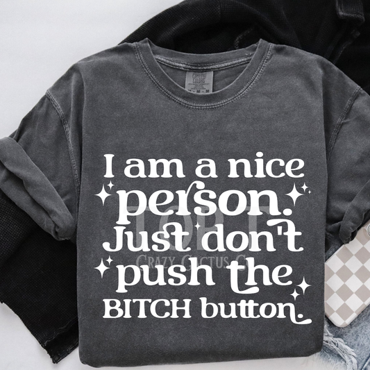 I Am A Nice Person - Comfort Color Graphic Tee