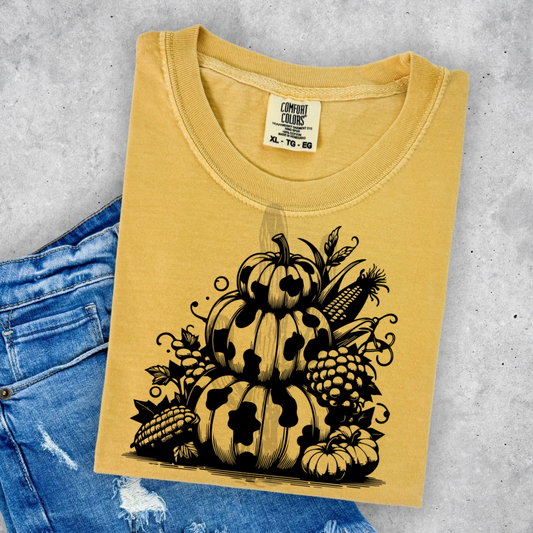 Western Pumpkin Stack 1 **DTF Transfer**