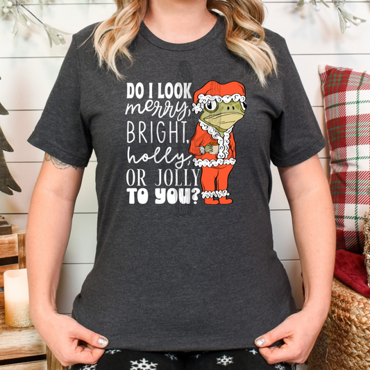 Do I Look Merry, Bright, Holly, Or Jolly To You? **DTF Transfer**
