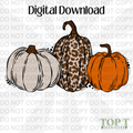 PUMPKINS (DIGITAL DOWNLOAD PNG)