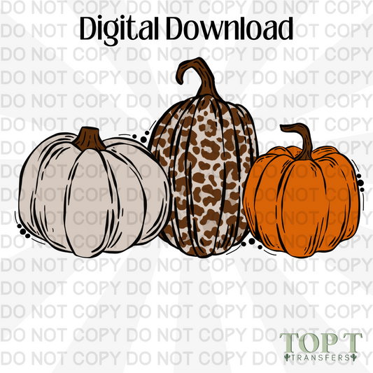 PUMPKINS (DIGITAL DOWNLOAD PNG)