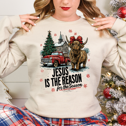 Jesus Is The Reason For The Season **DTF Transfer**