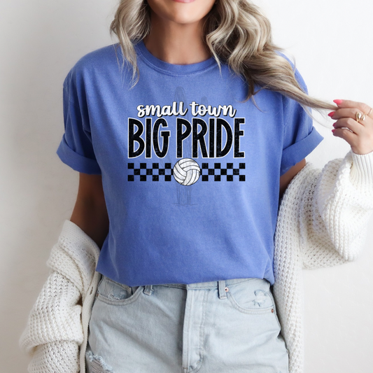 Small Town Big Pride Volleyball **DTF Transfer**