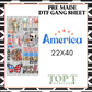 AMERICA (PRE MADE DTF GANG SHEET - 2-5 business day TAT)