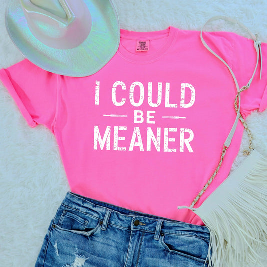 I Could Be Meaner **Screen Print Transfer**