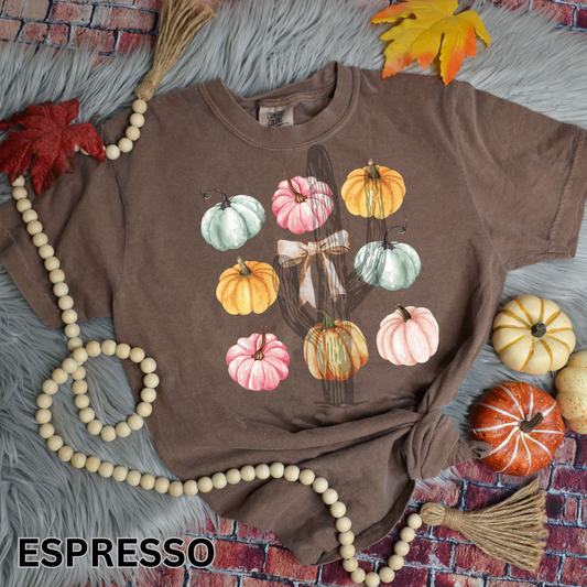 Coquette Pumpkin Grid - Comfort Color Graphic Tee