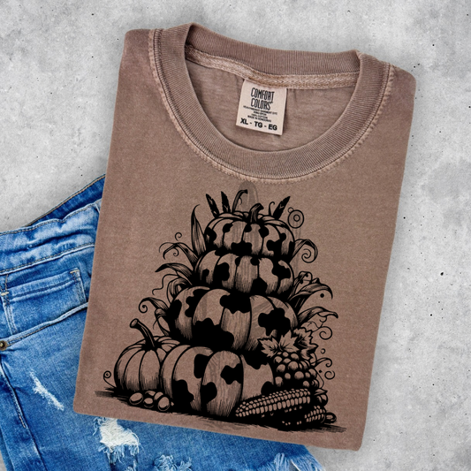 Western Pumpkin Stack 6 **DTF Transfer**