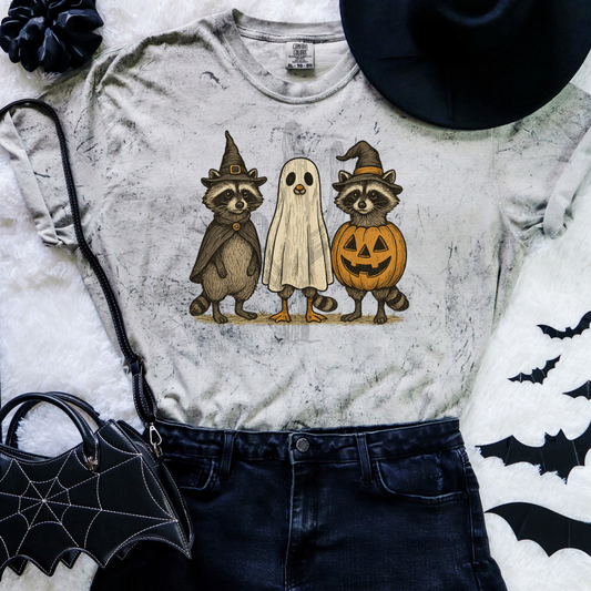 Spooky Racoons **DTF Transfer**