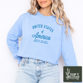 United States Of America **Embroidered Crewneck**